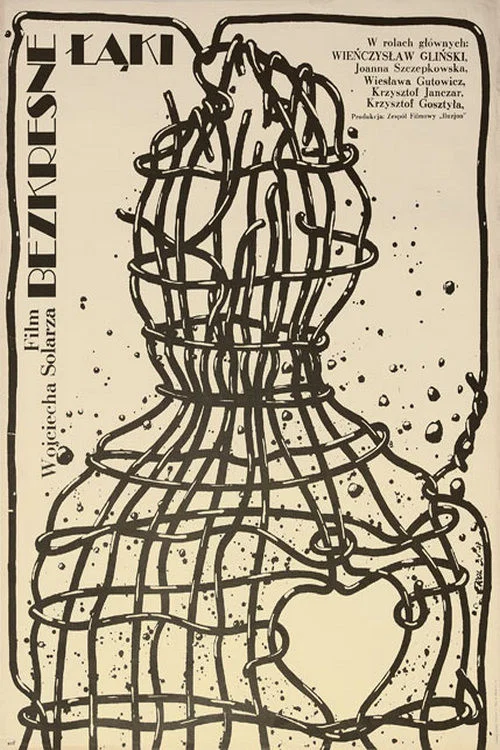 Movie poster for Bezkresne łąki (1976)