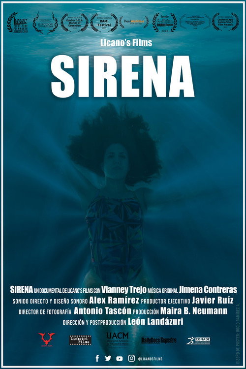 Movie poster for Mermaid (2018)