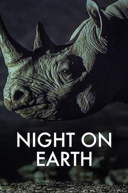 Night on Earth poster