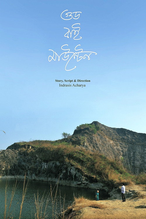 Movie poster for Good Bye Mountain (2025)