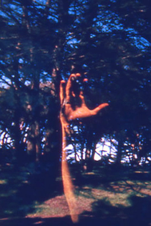 Movie poster for FFFTCM (1967)