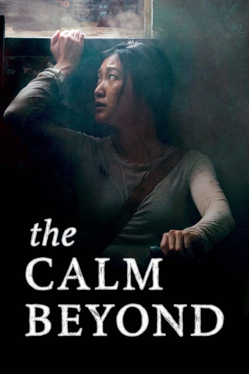 Movie poster for The Calm Beyond (2020)
