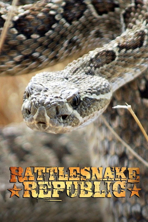 Series poster for Rattlesnake Republic (2011)