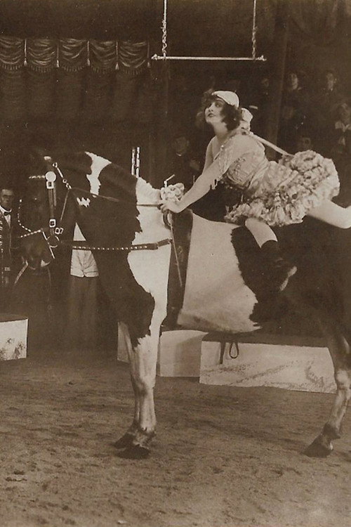 Movie poster for Um Krone und Peitsche (1919)