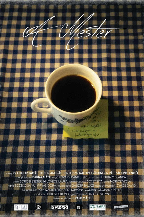 Movie poster for A mester