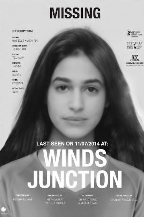 Movie poster for Winds Junction (2015)