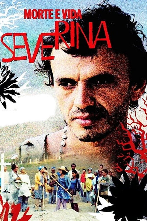Movie poster for Morte e Vida Severina (1981)