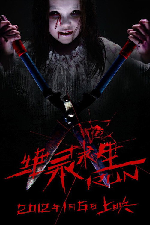Movie poster for Run (2012)