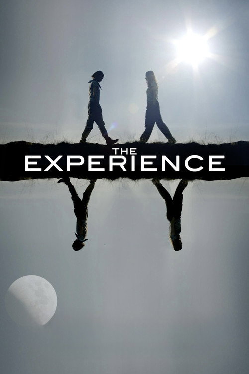 Movie poster for The Experience (2019)