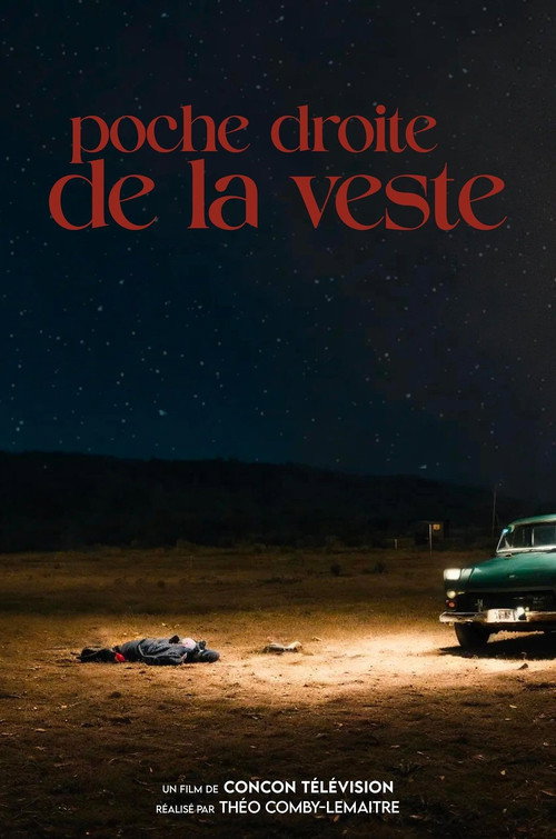 Movie poster for Poche droite de la veste (2024)