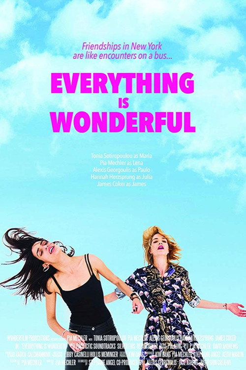 Movie poster for Everything is Wonderful (2019)