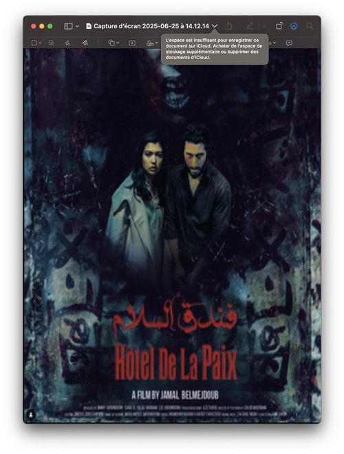 Movie poster for Hôtel de la Paix (2025)