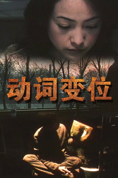 Movie poster for Conjugation (2001)