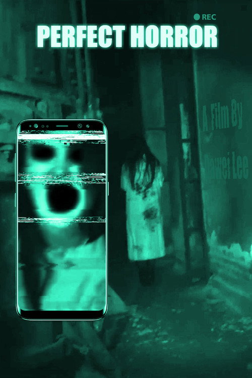 Movie poster for Perfect Horror (2016)
