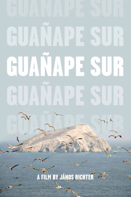 Movie poster for Guañape sur (2011)