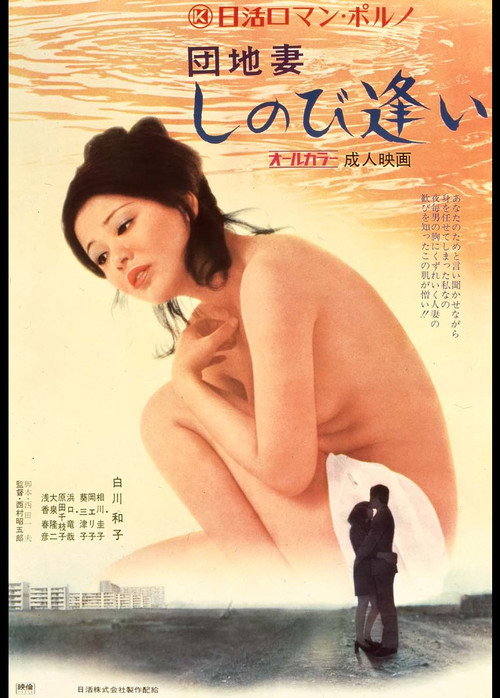 Movie poster for Apartment Wife: Secret Rendezvous (1972)