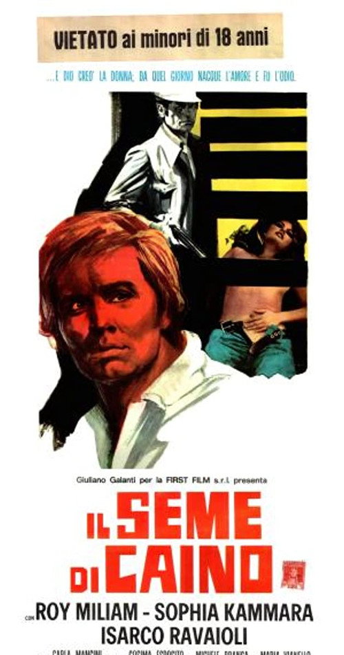 Movie poster for Il seme di Caino (1972)
