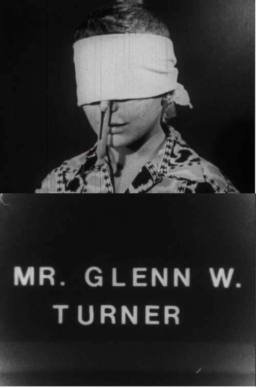 Movie poster for Mr. Glenn W. Turner (1990)