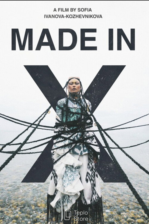 Movie poster for MADE IN X