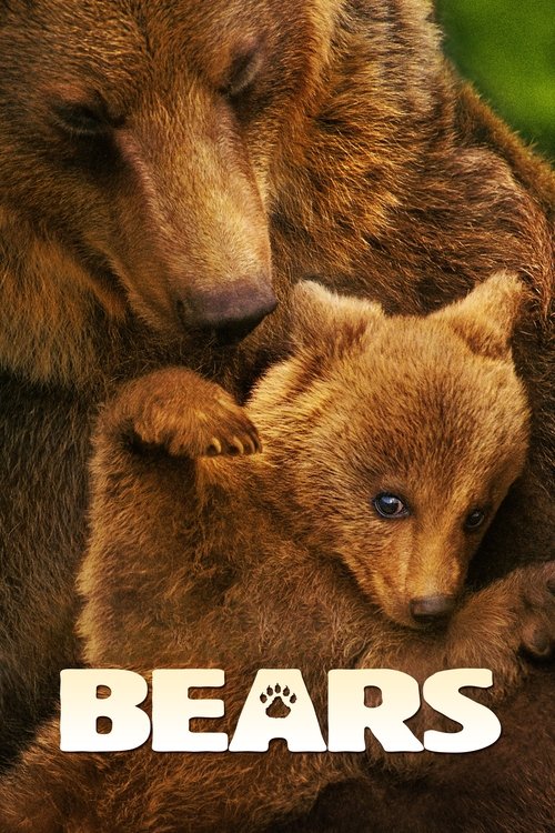 Movie poster for Bears (2014)