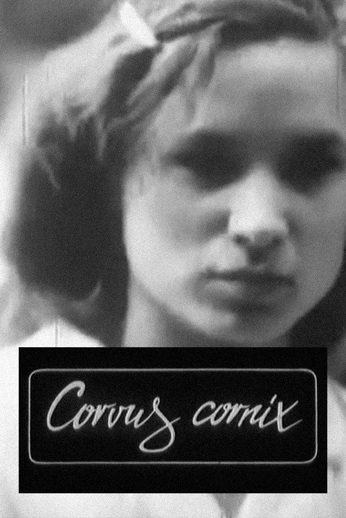 Movie poster for Corvus Cornix - From Latin as Raven (1988)