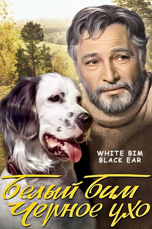 White Bim Black Ear poster