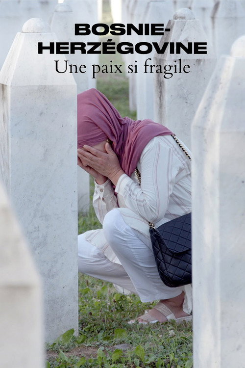 Movie poster for Bosnie-Herzégovine - Une paix si fragile (2023)