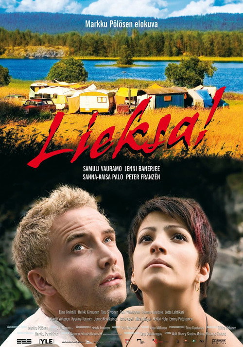 Movie poster for The Matriarch (2007)