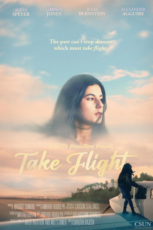 Movie poster for Take Flight (2022)