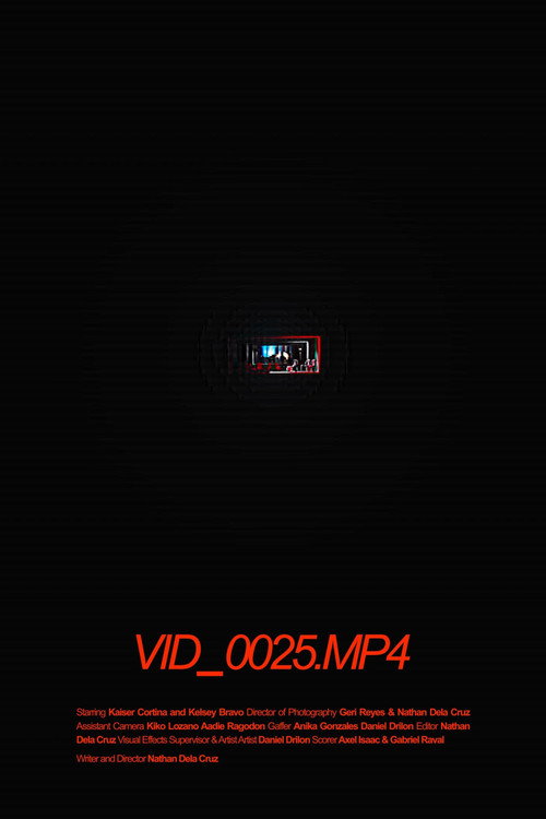 Movie poster for VID_0025.MP4 (2025)