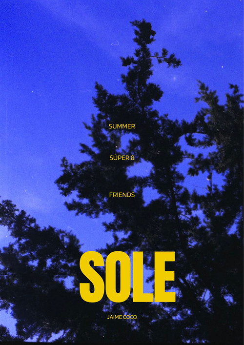 Movie poster for Sole - Summer 8 (2023)