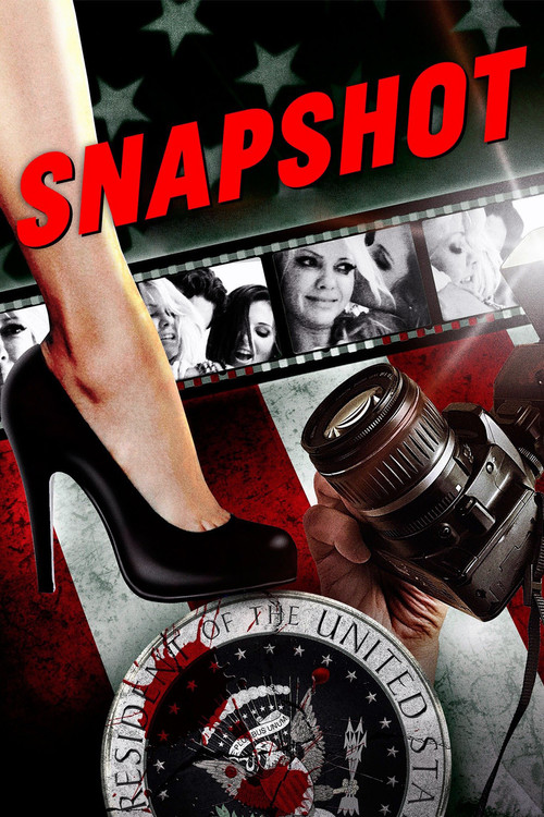 Movie poster for Snapshot (2014)
