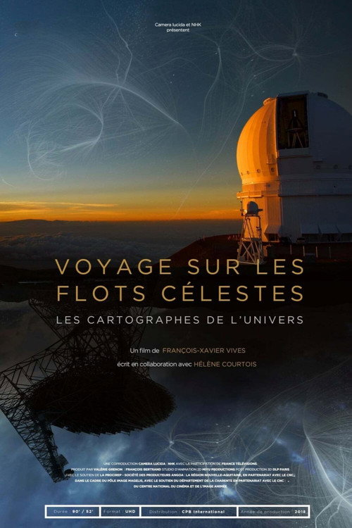 Movie poster for Cosmis Flows: The Cartographers of the Universe (2019)