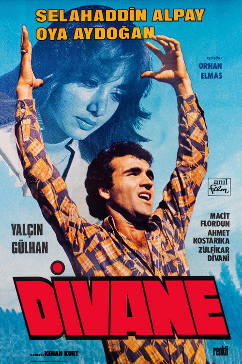 Movie poster for Divane (1979)