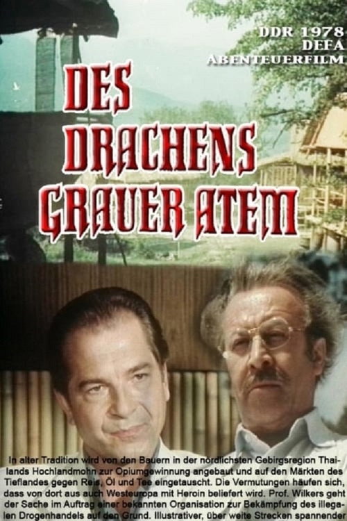 Movie poster for Des Drachens grauer Atem (1979)
