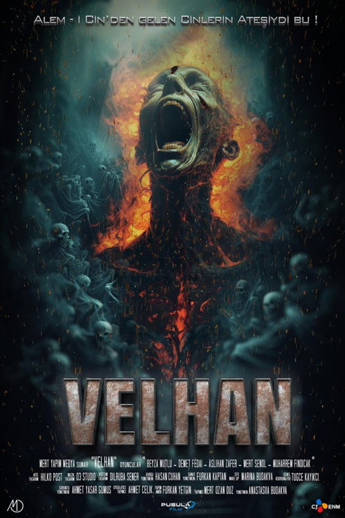 Movie poster for Velhan (2024)