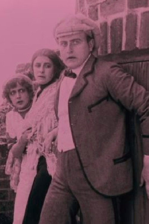 Movie poster for The Firefly (1913)