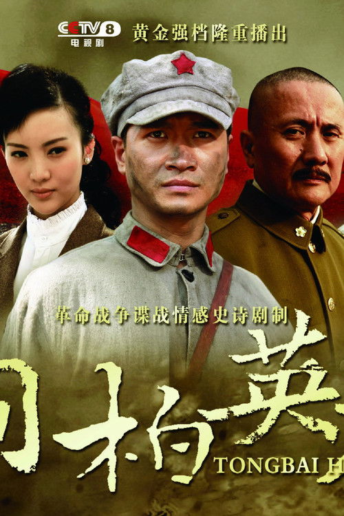 桐柏英雄 poster