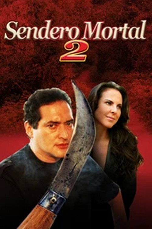 Movie poster for Deadly Road II (1999)