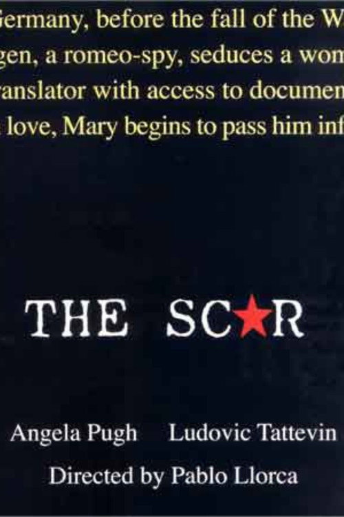 Movie poster for The scar (2005)