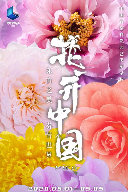 The Signature of Flowers poster