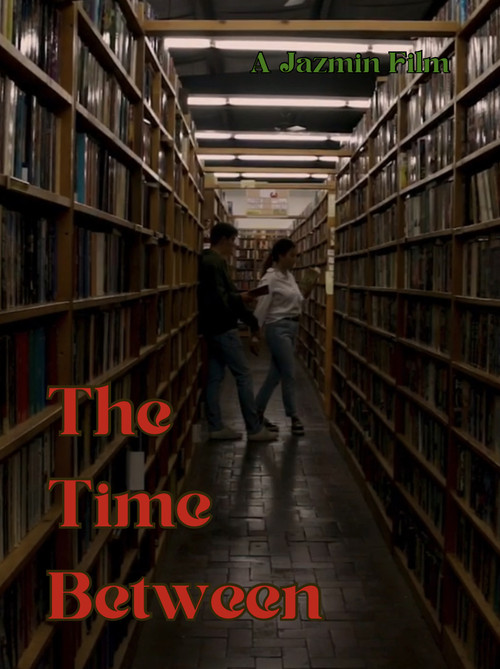 Movie poster for The time between