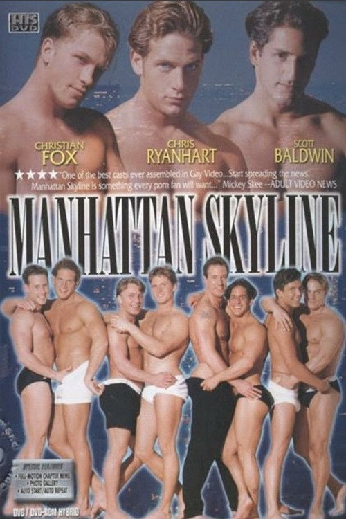 Movie poster for Manhattan Skyline (1995)
