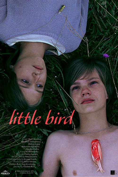 Movie poster for Little Bird (2014)