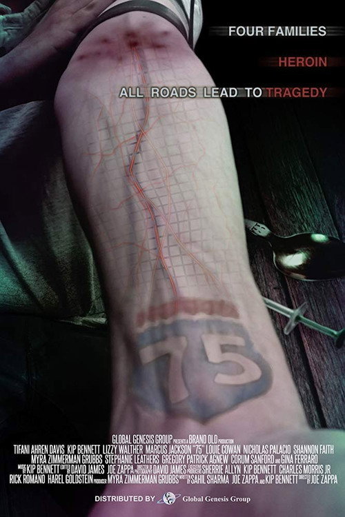 Movie poster for 75 (2017)