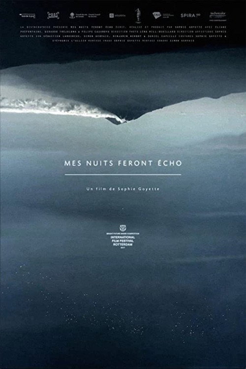 Movie poster for Still Night, Still Light (2016)