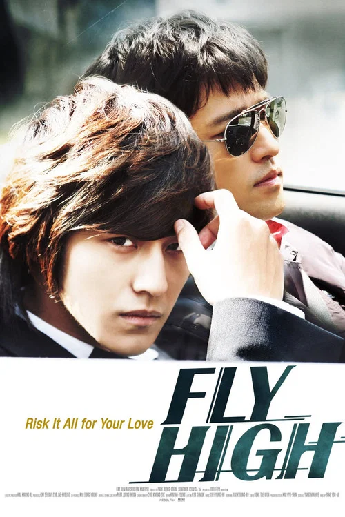 Movie poster for Fly High (2009)