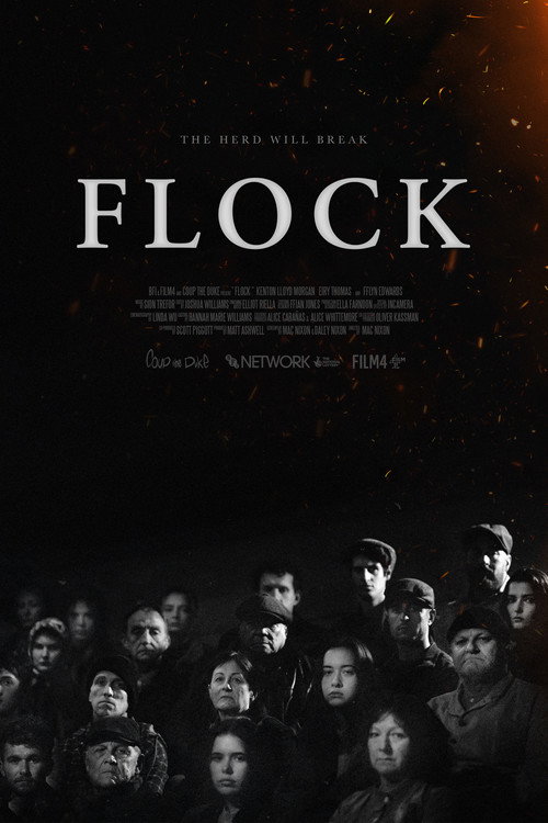 Movie poster for Flock (2025)