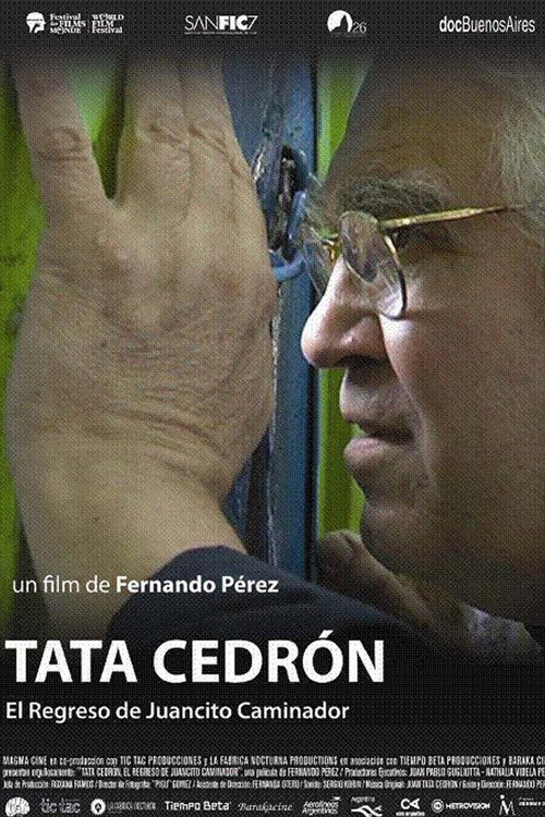 Movie poster for Tata Cedrón, el regreso de Juancito Caminador (2011)