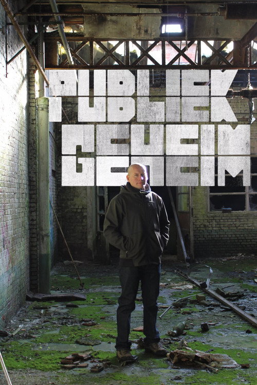 Series poster for Publiek Geheim (2010)